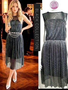 Black Collection🎀Shimmer Metallic Silver-Black Pleated Mesh Dress